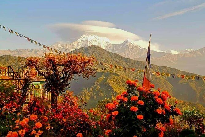 1-Day Private Dhampus Trekking Tour - Why Dhampus works as a 1-day Annapurna sampler from Pokhara