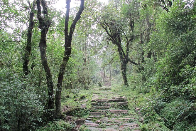 1-Day Private Dhampus Trekking Tour - Weather reality for Dhampus: planning for clouds without ruining the day