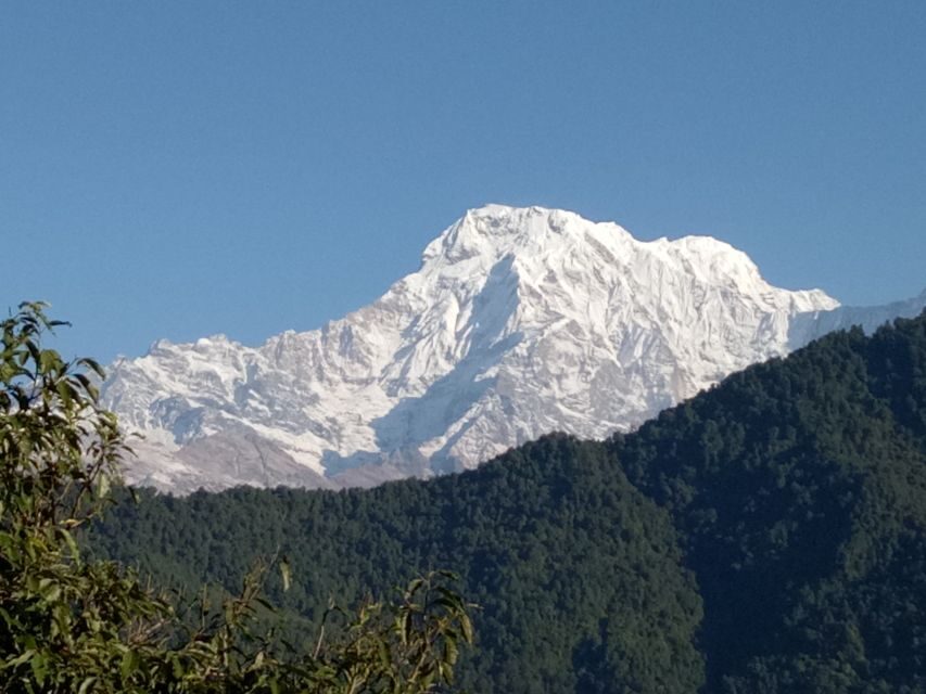 1 N 2 Days easy Dhampus,Australian camp trek from Pokhara - The Overnight Lodge: Small Comforts, Big Timing