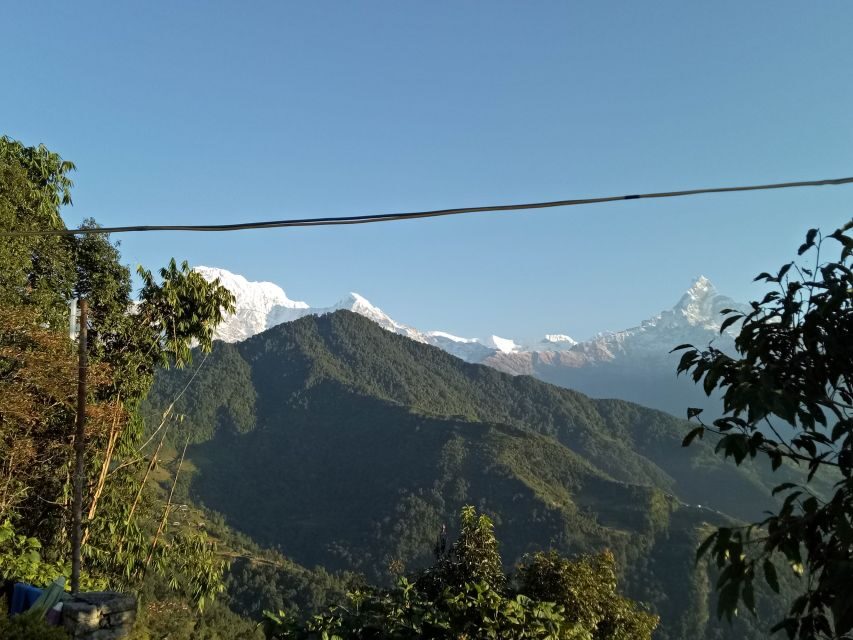 1 N 2 Days easy Dhampus,Australian camp trek from Pokhara - Descending to Dhampus Phedi: Village Life Meets Mountain Views