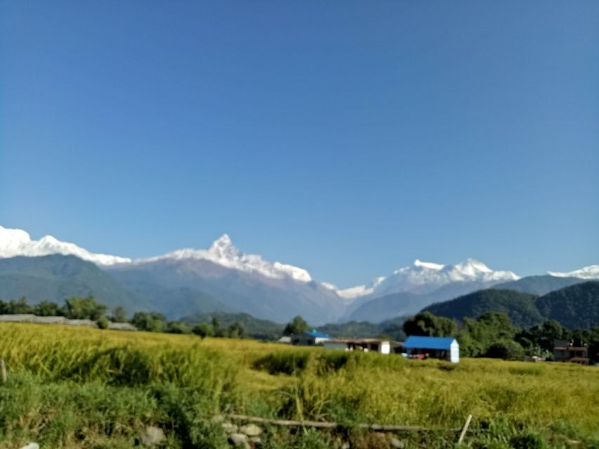 1 N 2 Days easy Dhampus,Australian camp trek from Pokhara - Guides, English, and the Calm Pace That Makes It Fun
