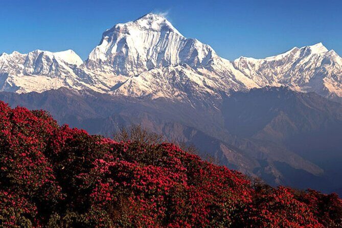 10 Days Private Guided Annapurna Basecamp Trek via Poon Hill - Why This Annapurna Route Makes Sense