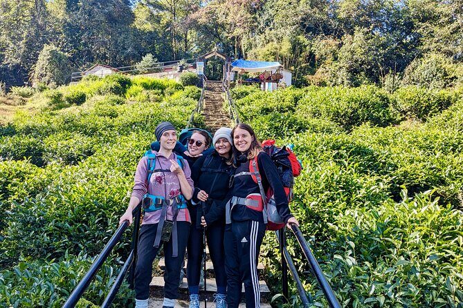 10 Days Private Guided Annapurna Basecamp Trek via Poon Hill - Day 5: Down to Chomrong Khola, Suspension Bridge, Forest Walking