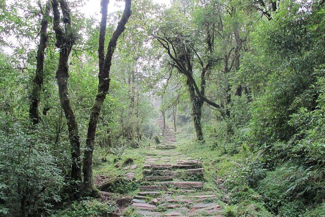 2-Day Private Trekking Tour to Australian Camp & Dhampus - Guide and transport: the hidden value in a private tour