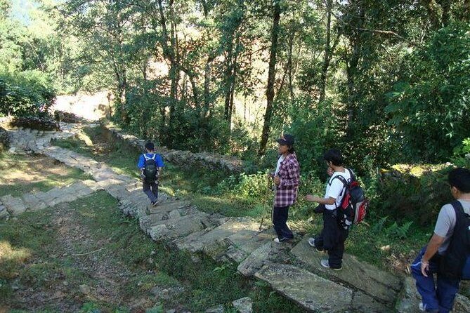 2 Days Panchase Hill Trek from Pokhara - 2 Days, 1 Real Annapurna View: What This Trek Feels Like