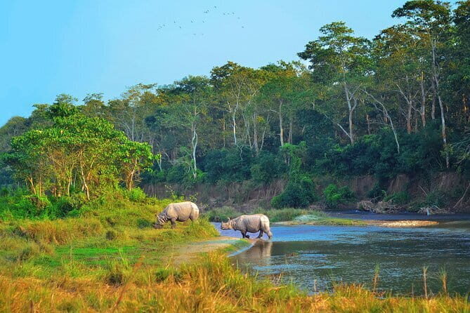 2 Night 3 Day Chitwan Jungle Safari Tour from Pokhara - Key things to know before you go