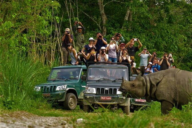 2 Night 3 Day Chitwan Jungle Safari Tour from Pokhara - From Pokhara to Chitwan: the drive that sets the mood