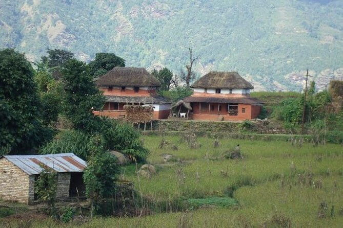 2 Night 3 Day Chitwan Jungle Safari Tour from Pokhara - More than animals: Tharu culture and traditional dance