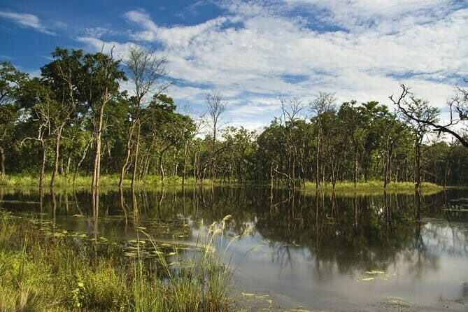 2 Night 3 Day Chitwan Jungle Safari Tour from Pokhara - Jeep Safari in Chitwan: how the wildlife day really works