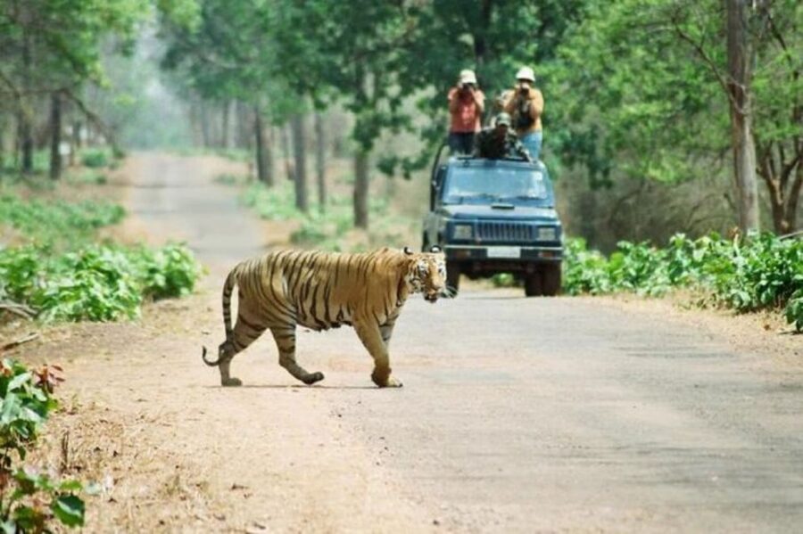 3-Day Chitwan Jungle Safari Adventure From Kathmandu/Pokhara - Getting There: The Kathmandu/Pokhara Coach Ride to Sauraha