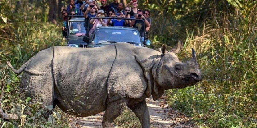 3-Day Chitwan Jungle Safari Adventure From Kathmandu/Pokhara - Should You Book This Chitwan Jungle Safari Adventure?