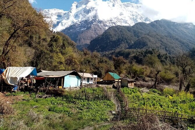 3 Day Kapuche Glacier Lake Trek with Siklesh from Pokhara - Day 3: A Slower Morning, Village Atmosphere, and the Ride Back to Pokhara