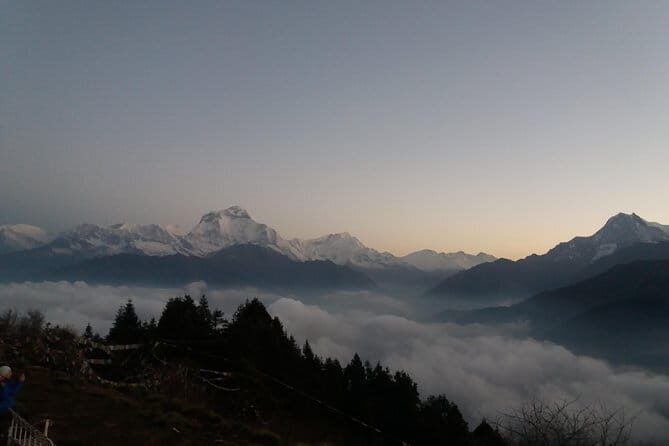 3 Day Mardi Himal Base Camp Trek from Pokhara - Day 2: Mardi High Camp and the rhododendron climb