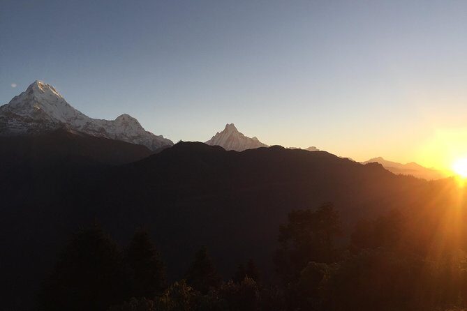 3-Day Poon Hill Trek from Pokhara. - Day-by-Day Walking: Rhododendron Forests, Villages, and the Poon Hill Payoff