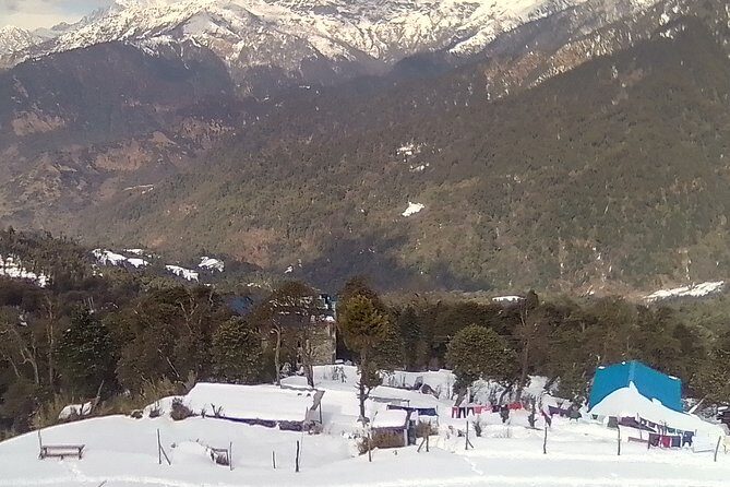 3 Days 2 Nights Poon Hill Trekking - Day 1: Drive to Uleri, hike to Ghorepani, and settle into tea-house rhythm