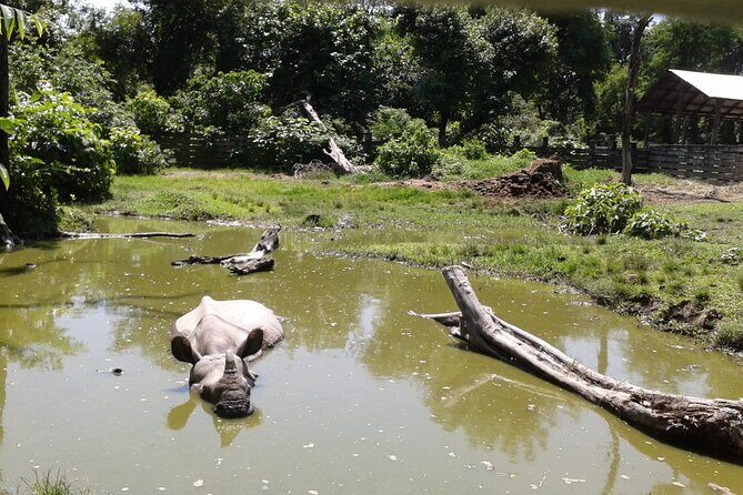 3 Days and 2 Nights Chitwan National Park Safari Tour in Pokhara - Who This Tour Fits Best (and Who Should Think Twice)