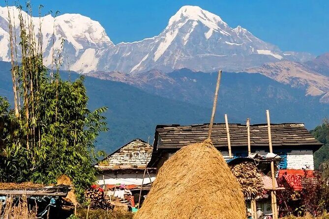 3 Days Ghorepani and Poonhill Private Trek from Pokhara - How the Private Trek Runs From Pokhara