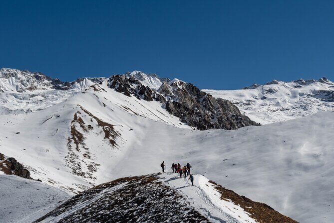 3 Days Ghorepani and Poonhill Private Trek from Pokhara - Day 3: Poon Hill Sunrise and the Descent to Finish