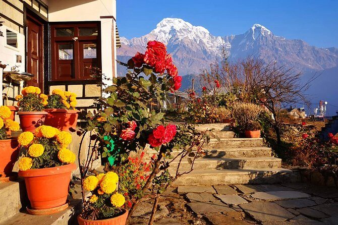 4-Day Private Poon Hill Trekking Tour - Guides, permits, and safety details you feel day to day