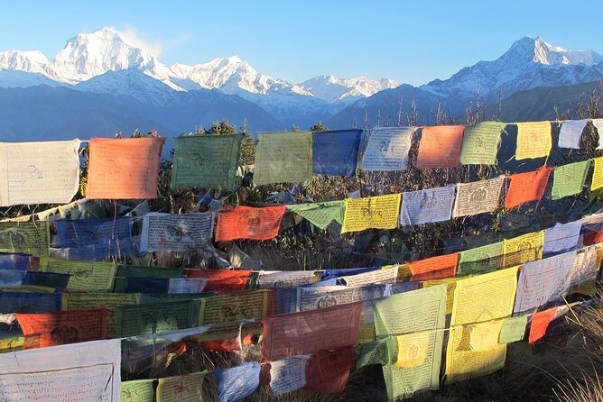 4-Day Private Poon Hill Trekking Tour - Day 1: Pokhara to Nayapul, then Ulleri’s first climbing day