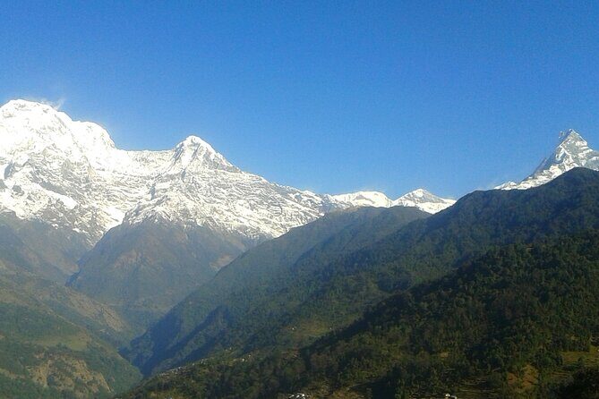 4 Days Mardi Himal Base Camp Trekking in Pokhara - Mardi Himal in 4 Days: Why This Trek Feels Like Smart Planning