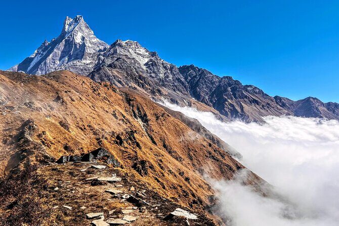 4 Days Mardi Himal Base Camp Trekking in Pokhara - Day 2: Forest Camp to High Camp Through Rhododendron Forests