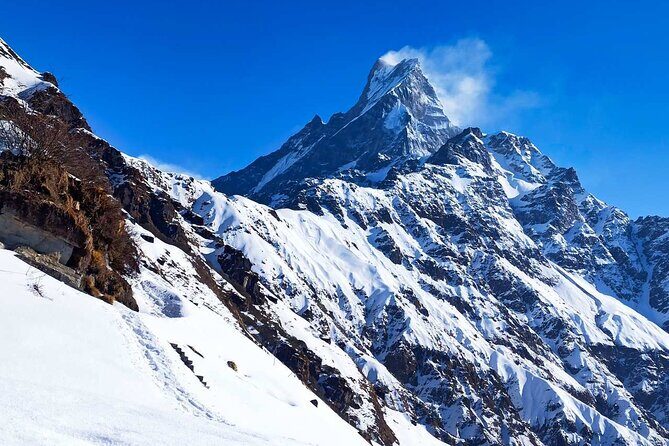 4 Days Mardi Himal Base Camp Trekking in Pokhara - Day 3: The Morning Push to Mardi Himal Base Camp and Back Down