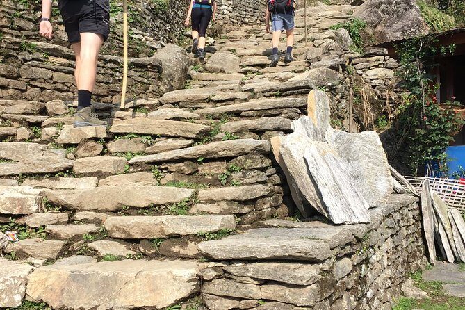 4 Days Poon Hill Trek from Pokhara - Starting from Pokhara at 8:30 am: how the day one setup works