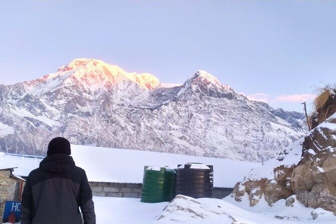 5 Day Mardi Himal Base Camp Trek in Pokhara - Food, Timing, and Gear: The Stuff That Makes or Breaks Your Comfort