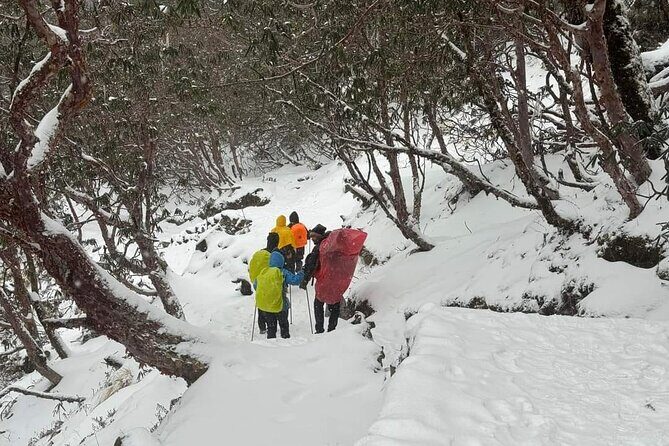 5 Day Mardi Himal Base Camp Trek in Pokhara - Who This Trek Suits Best (And Who Might Re-think It)