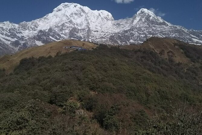 5 Days Mardi Himal Trek. - Day 2 to Forest Camp: Rivers, Birds, and Mountain Faces