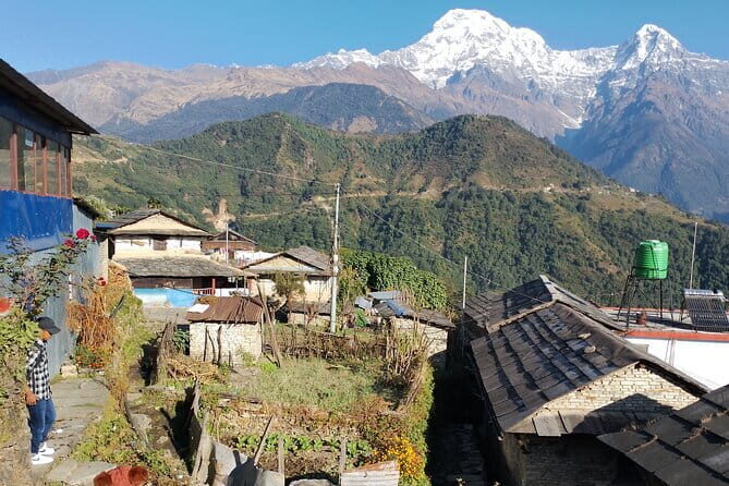 7-Day Trek to Annapurna Base Camp from Pokhara - Day 2 to Upper Sinuwa: hilltop lodges and a tougher rhythm