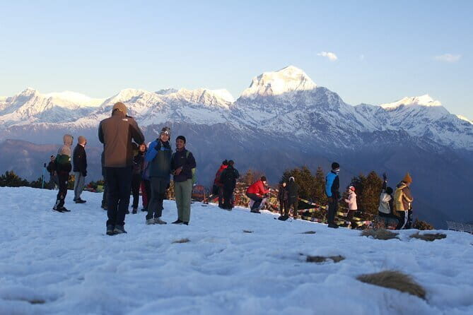 7-Day Trek to Annapurna Base Camp from Pokhara - Day 7 back to Pokhara: Samrung Khola and the suspension bridge moment