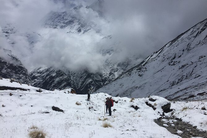 7 Days Annapurna Base Camp Trek from Pokhara - Day 7: Phedi Khola to Pokhara Lakeside—finish strong, not wiped out