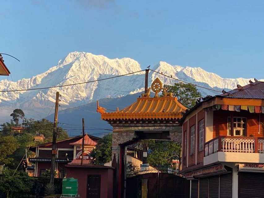 Afternoon Tibetan cultural tour - Tibetan Butter Tea, Tsampa, and Snacks: What to Expect on Your Taste Test