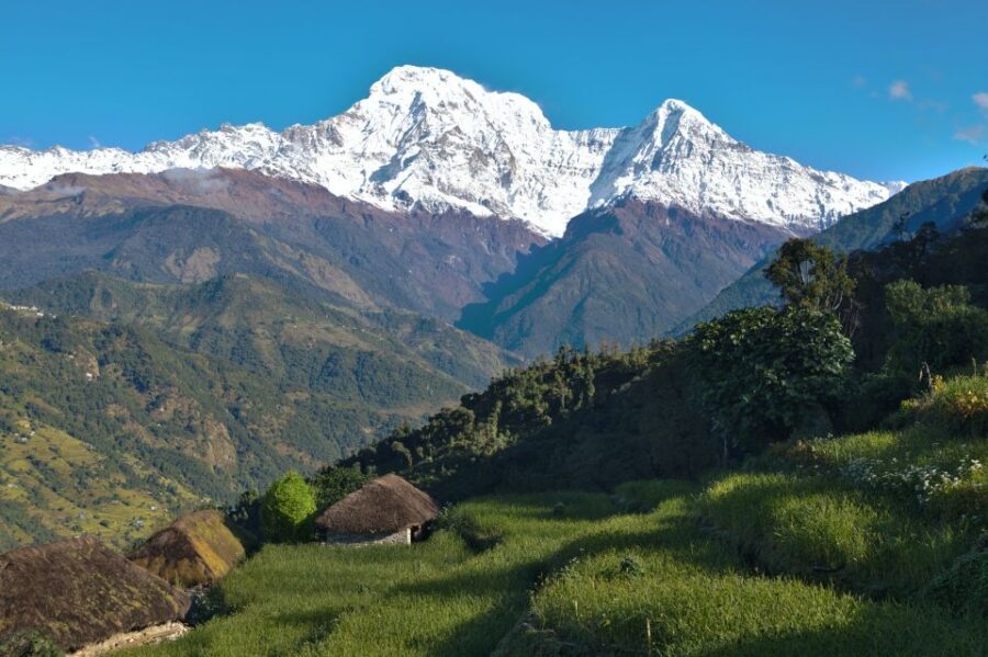 Australian Base Camp Day Hike From Pokhara - The Uphill Climb: Forest Steps, Village Detours, and Real Effort