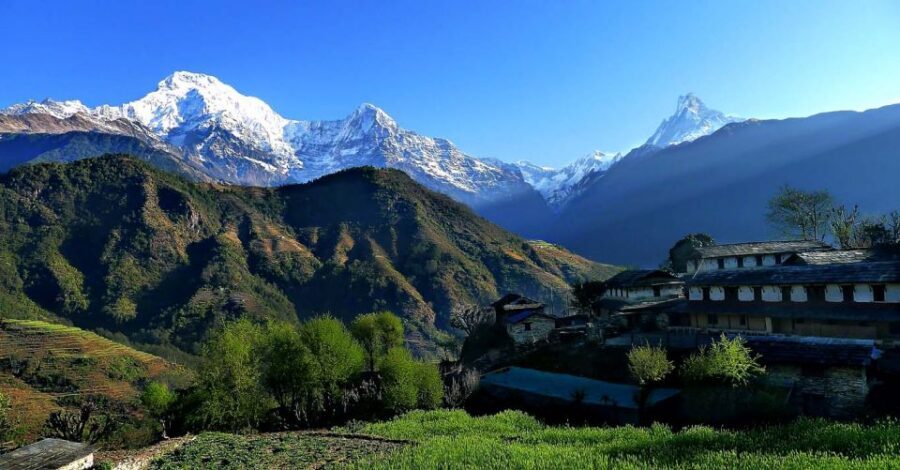 Australian Base Camp Day Hike From Pokhara - How Good Is the Tour Guide Experience?