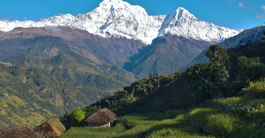 Australian Base Camp Day Hike From Pokhara - Price and Value: Is $39 a Smart Deal?