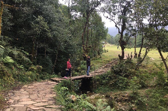 Australian Camp and Dhampus easy hiking - Dhampus: quick village atmosphere in a Gurung setting