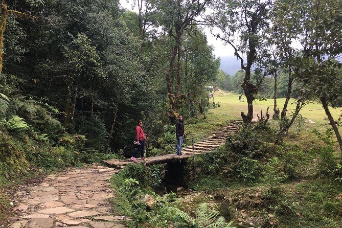 Australian Camp and Dhampus easy hiking - Ease of the hike: who it suits best