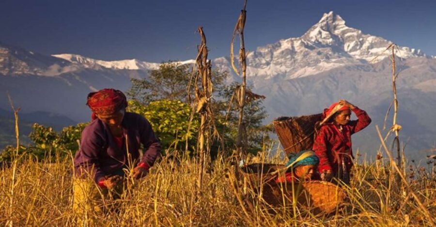 Day Hike at Annapurna Foothills - Who should go, and who should skip this day hike