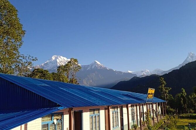 Experience Mardi Himal Trek - Day 2: Forest Camp to Low Camp and your Machhapuchhre moment