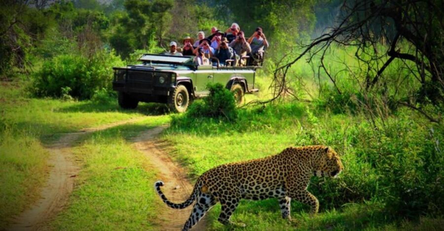 From Kathmandu/Pokhara: Private 3-Day Chitwan Safari Tour - Getting from Kathmandu or Pokhara to Chitwan without losing a day