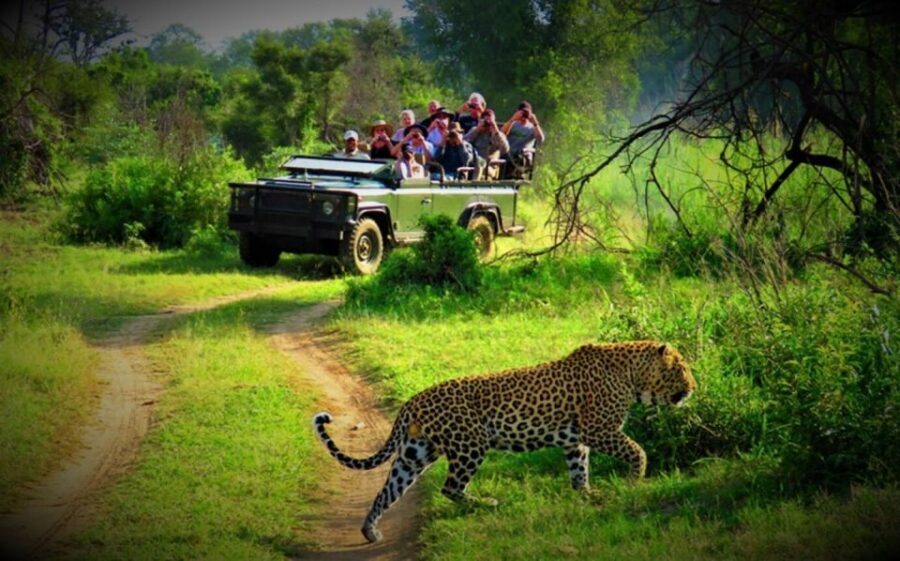 From Kathmandu/Pokhara: Private 3-Day Chitwan Safari Tour - Day 2: Jeep safari in Chitwan National Park, plus Rapti canoe time