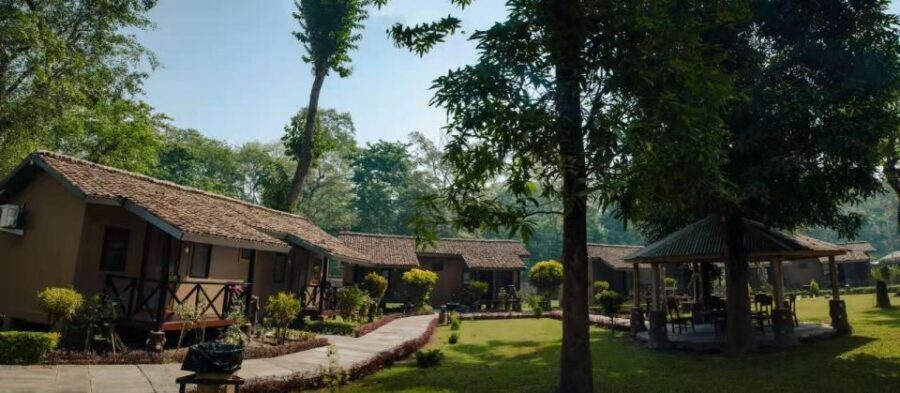 From Kathmandu/Pokhara: Private 3-Day Chitwan Safari Tour - Price and value: what you’re paying for at $168 per person