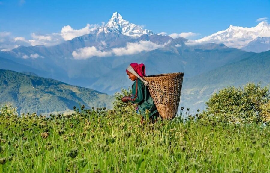 From Pokhara: 3-Day Ghorepani Poonhill Short Trek - Who should book this 3-day Pokhara short trek