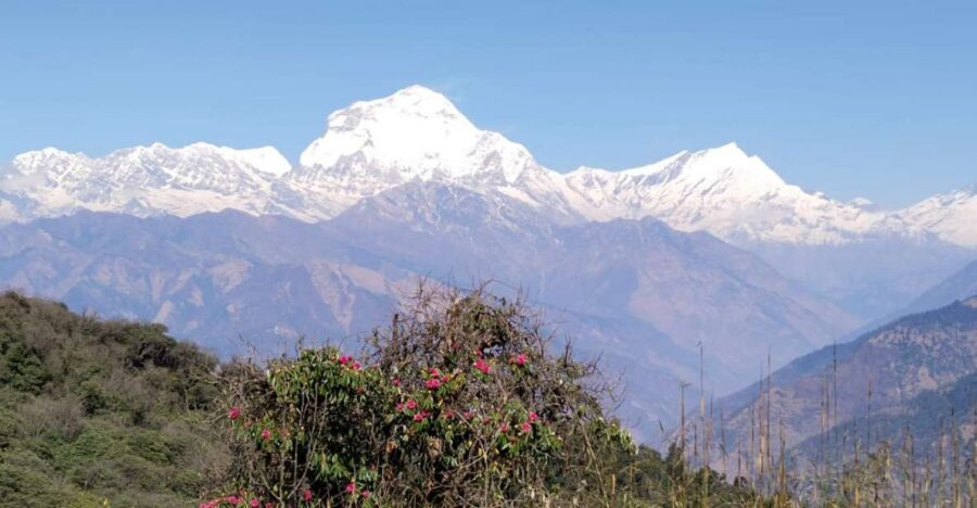 From Pokhara: 4-Day Annapurna and Poon Hill Himalayan Trek - Poon Hill sunrise: the Annapurna Range moment that drives the trip