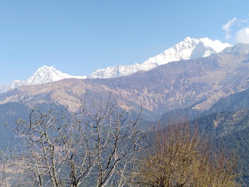 From Pokhara: 4-Day Annapurna and Poon Hill Himalayan Trek - Tadapani to Jhinu: forest trails and the run-up to hot springs