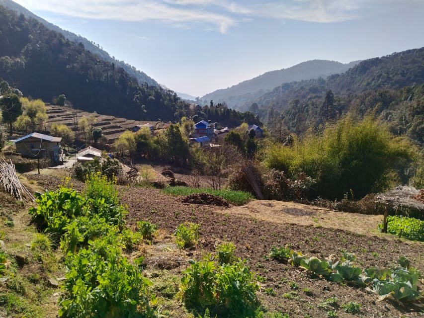From Pokhara: 4-Day Annapurna and Poon Hill Himalayan Trek - Ghorepani tea houses: where the trek really begins