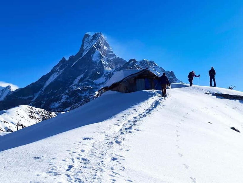 From Pokhara: 4-Day Mardi Himal Base Camp Trek - Day 1: Kande to Forest Camp (2,550 m) Through Rhododendron Country